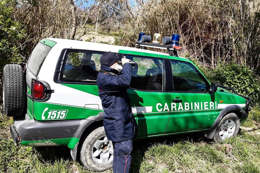 Caccia, i carabinieri forestali hanno intensificato i controlli