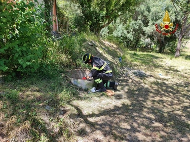 Bimba caduta in un pozzo a Macerata: salvata da un pompiere