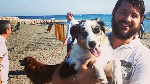 Un cane in spiaggia col suo padrone