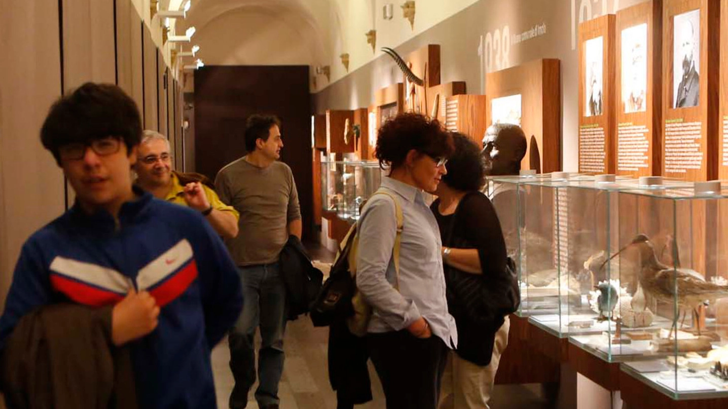 Aperto al pubblico il museo San Domenico, al pari della Rocca e di Palazzo Tozzoni