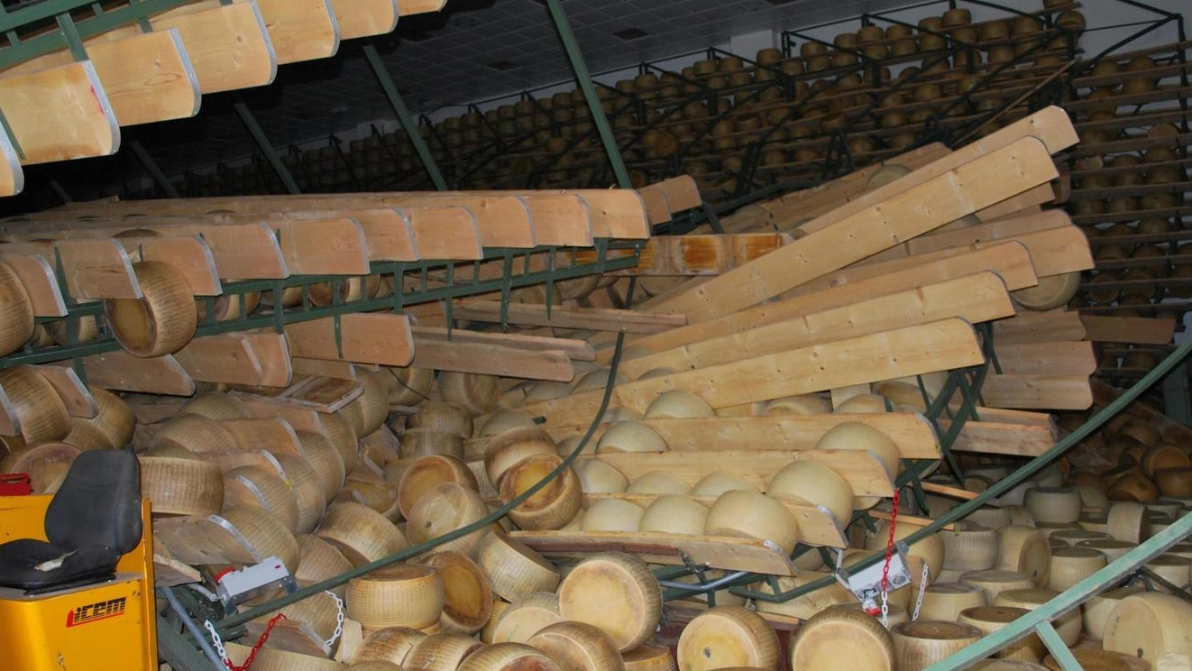 Forme di Parmigiano Reggiano di un’azienda agricola produttrice danneggiate dal sisma