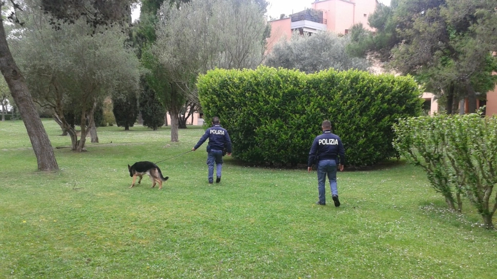 Senigallia, i poliziotti con i cani fanno un blitz in un casolare