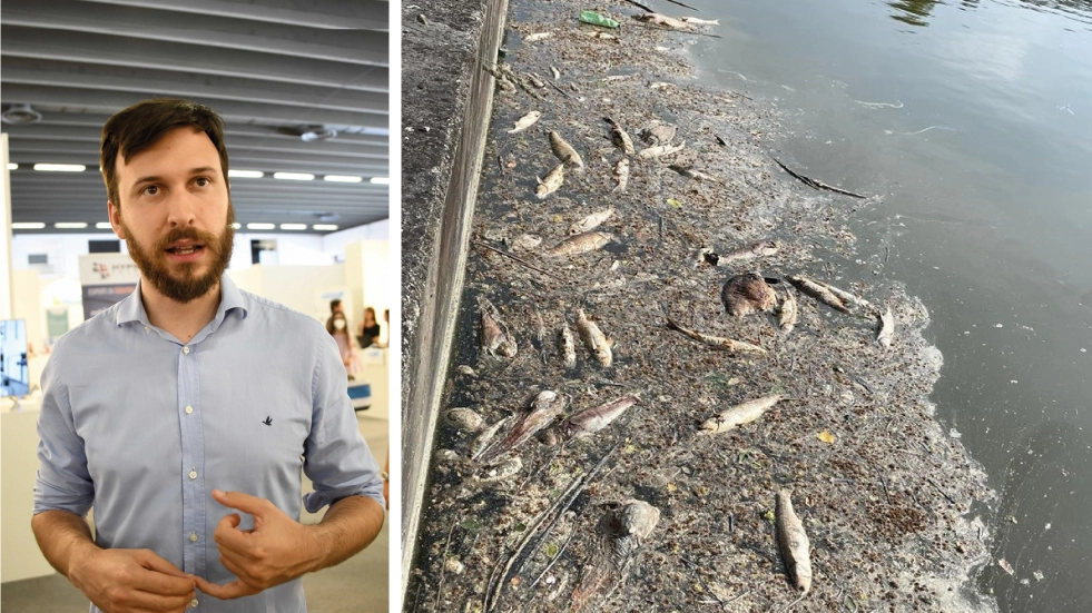 I pesci morti a galla nel canale Boicelli e, in alto a destra, Alessandro Balboni