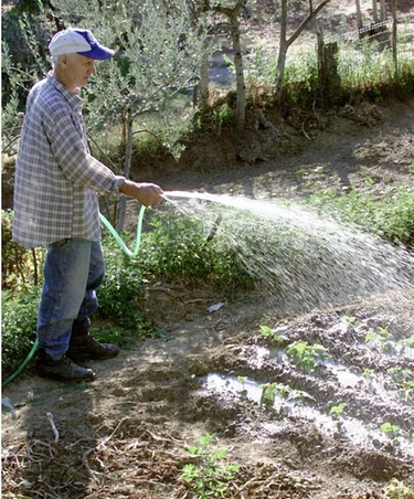 Ordinanza acqua Forlì, divieto di lavare la macchina e di innaffiare l'orto