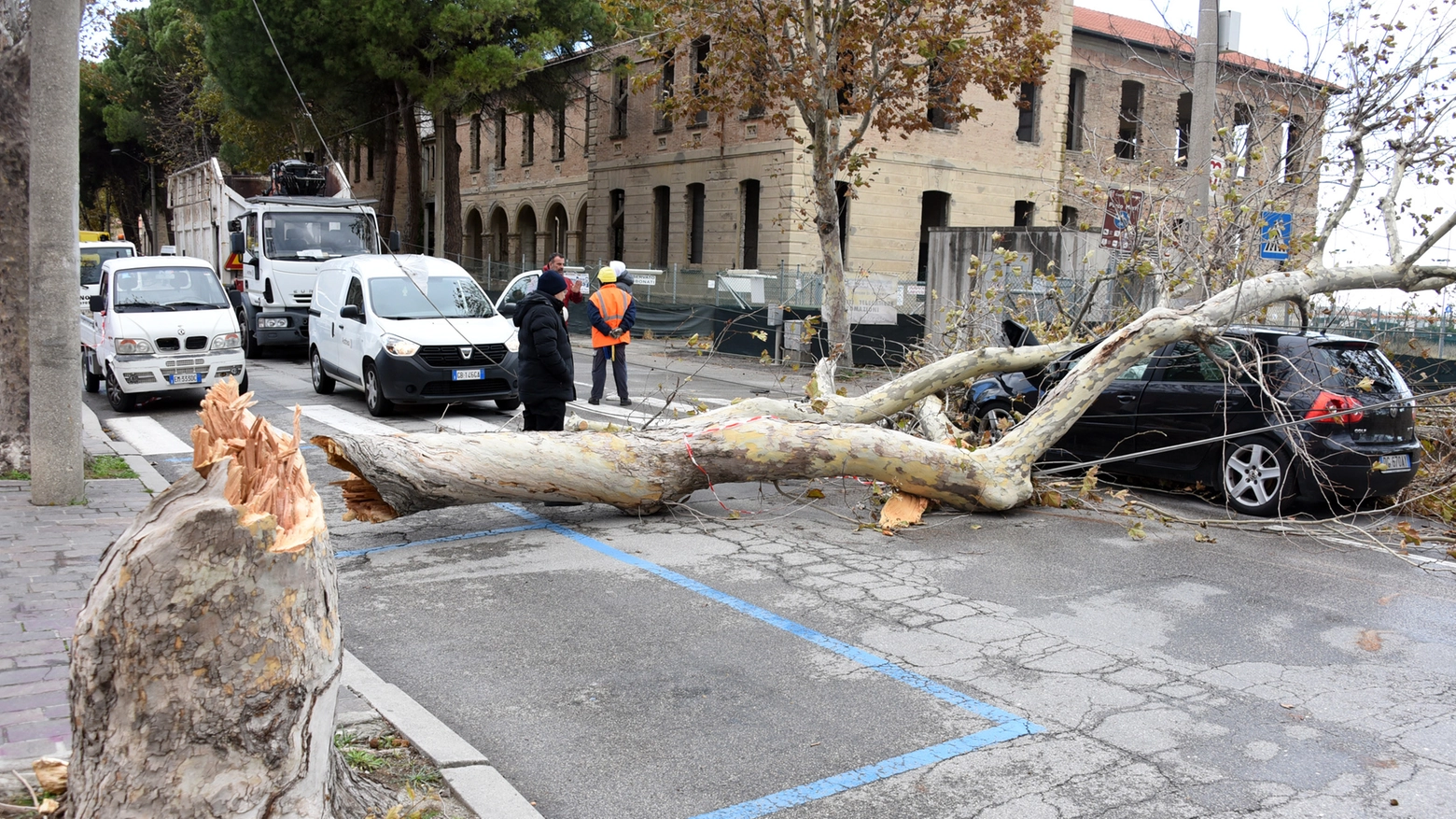 Un grosso albero si è schiantato su un'auto in transito a Bellariva (Foto Migliorini)