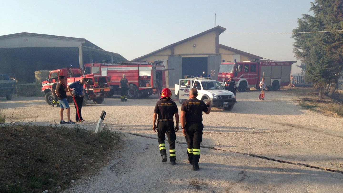 L'azienda del sindaco di Sant'Angelo in Vado, minacciata dal fuoco