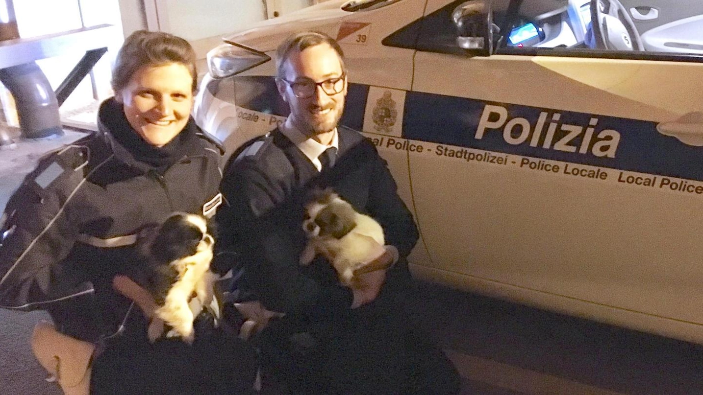 Gli agenti della municipale con i due cuccioli sequestrati