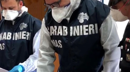 A condurre le perquisizioni e gli accertamenti sono i carabinieri del Nas di Bologna