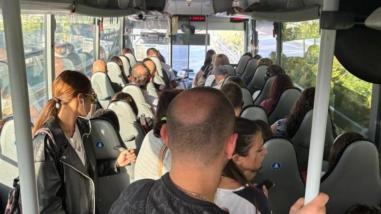 Studenti pressati nei bus: un inferno: "E a volte è meglio non prenderlo"