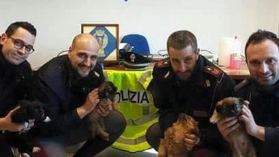 Gli agenti della Stradale mostrano i 4 cuccioli