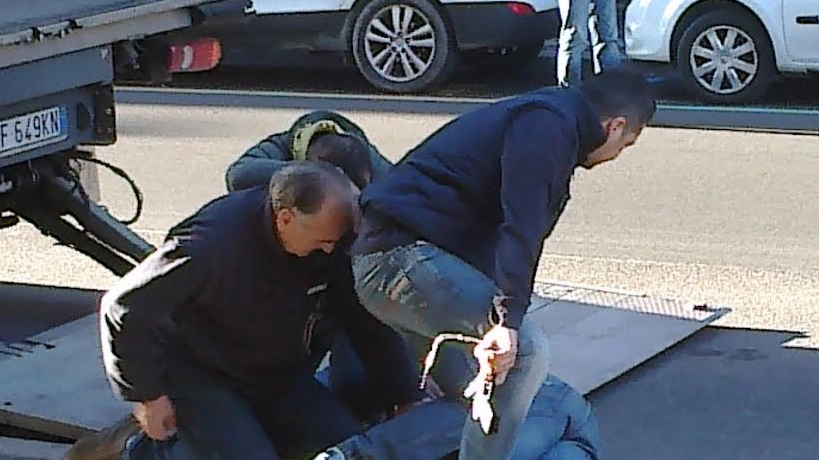 Bologna, il rapinatore di via Mazzini  bloccato e disarmato