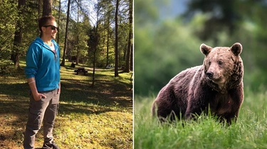 Andrea Papi ucciso da un orso: nel bosco i segni della lotta. Le misure sul tavolo delle autorità