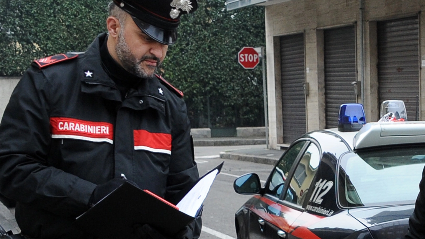 CONTROLLI Il furto è stato denunciato ai carabinieri (archivio)