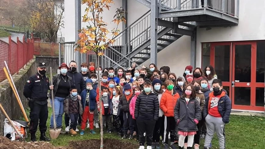 Giornata degli alberi 2021: piantumazioni di forestali e scuole