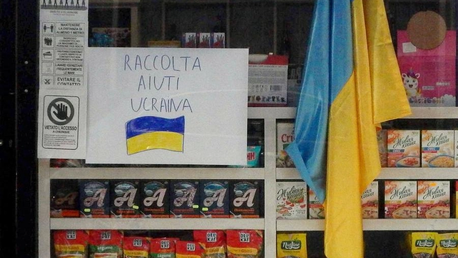 Il negozio "Il girasole" dell’ucraina Nataliya Butovska in via Mazzini
