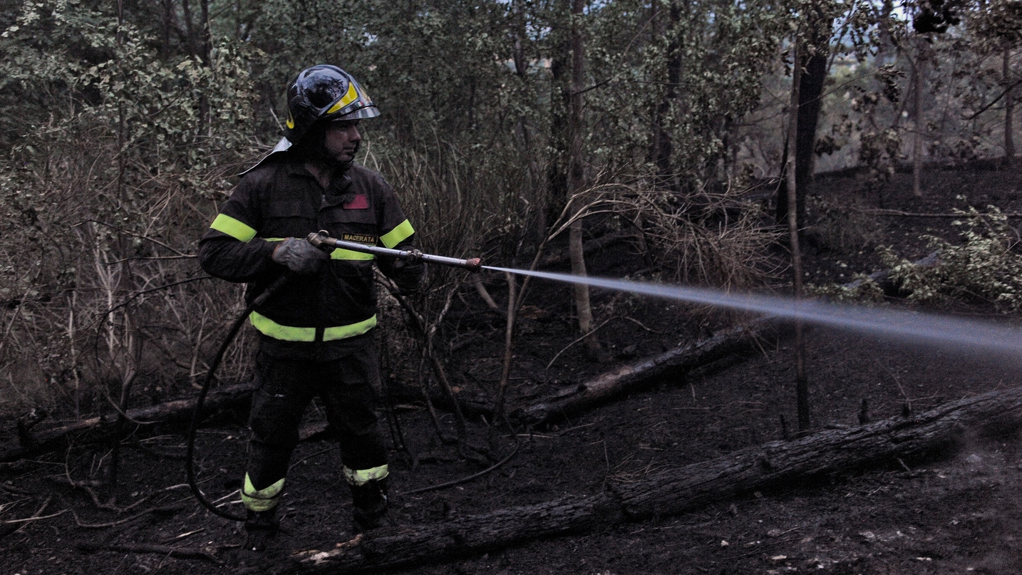 Vigili del fuoco al lavoro nel bosco di San Lorenzo (foto Calavita)