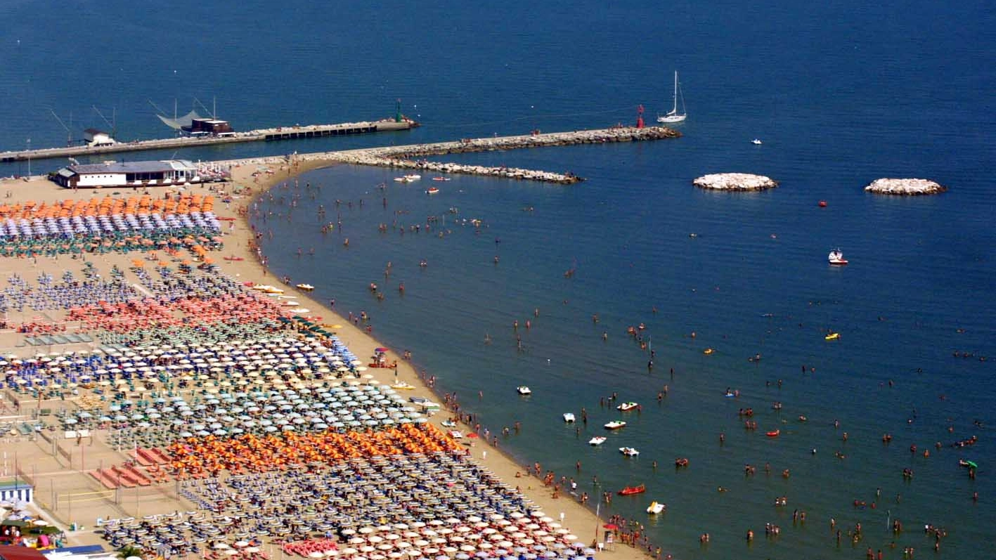 Il mare Adriatico è in buona salute (foto Ravaglia)