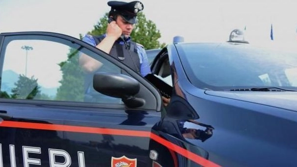 Tra furti e danni, il problema per i titolari è ingente ed è stata sporta denuncia ai carabinieri della stazione di Castenaso