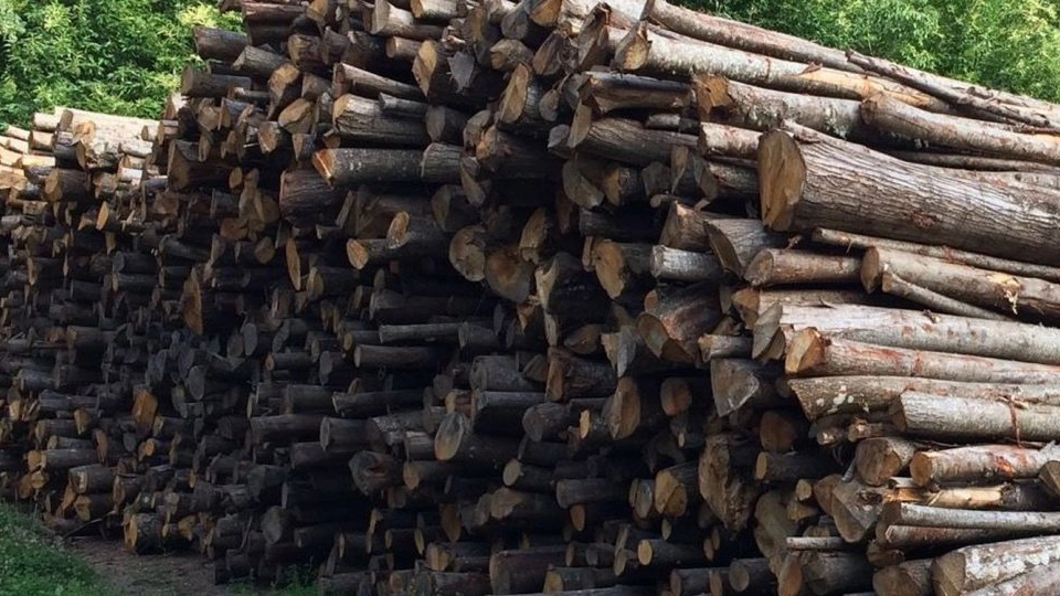 Manca la legna per scaldarsi