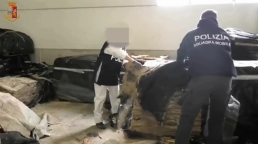 Traffico internazionale di cocaina a Bologna: 21 arresti e sequestrati 745 chili di droga