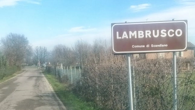 Lambrusco, il cartello a sud di Scandiano 