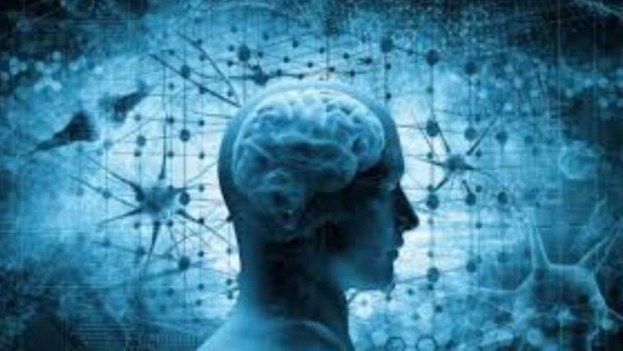 Covid ed effetti sul cervello: nuove scoperte