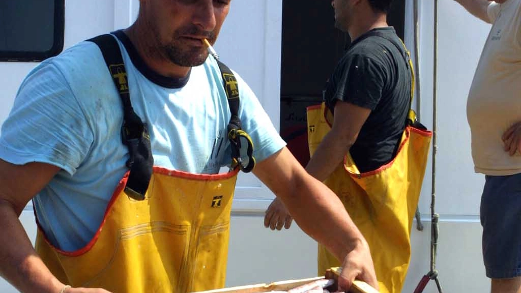 Scatta il fermo pesca sull'Adriatico (foto Ravaglia)