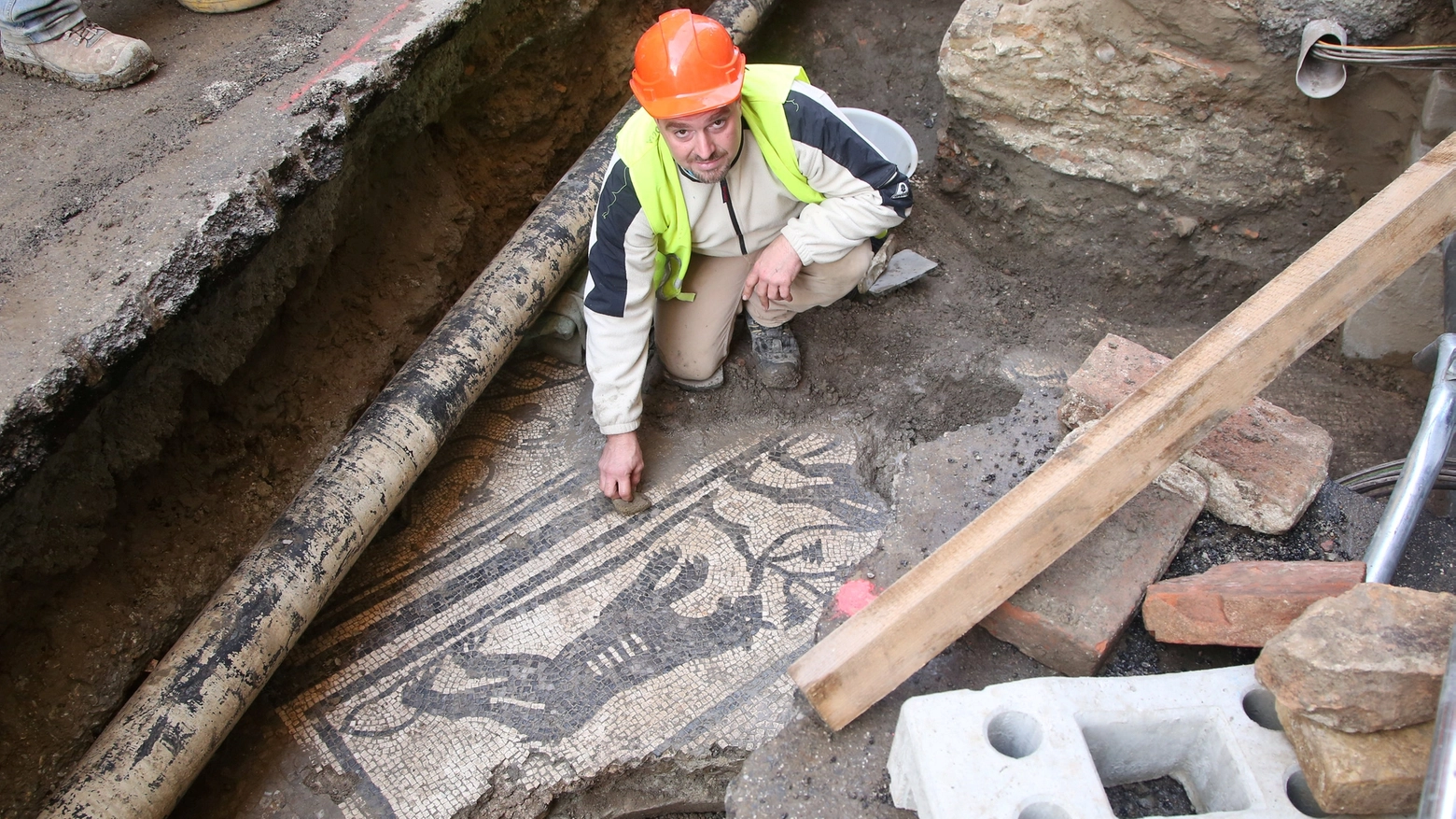 Il mosaico della pantera di epoca romana restaurato (Foto Ravaglia)