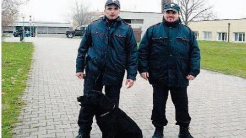 Il nucleo cinofili dei carabinieri con il labrador Sid 