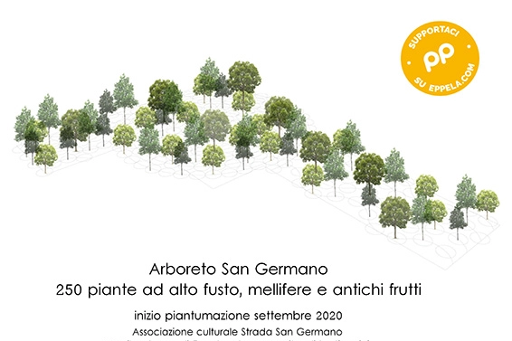 L'arboreto da 250 alberi a San Germano