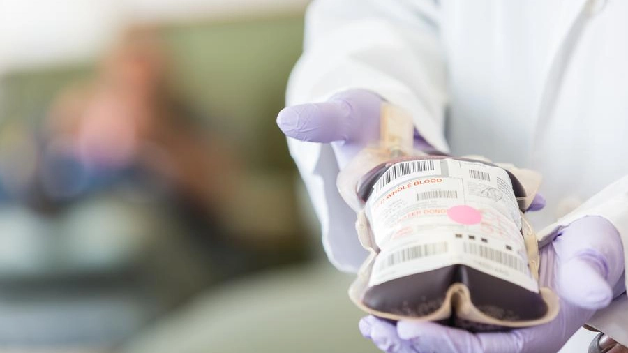 Trasfusione: i genitori hanno chiesto che fosse usato solo sangue da non vaccinati