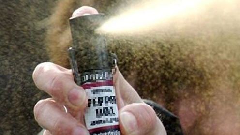Macerata, rissa con lo spray al peperoncino (Foto d'archivio Newpress)