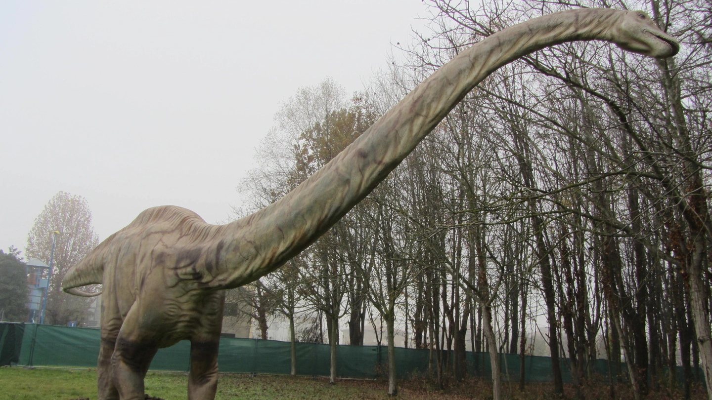 Inaugura sabato a Villa Tusini a San Prospero la mostra itineranti ‘World of dinosaurs’ GUARDA LE FOTO