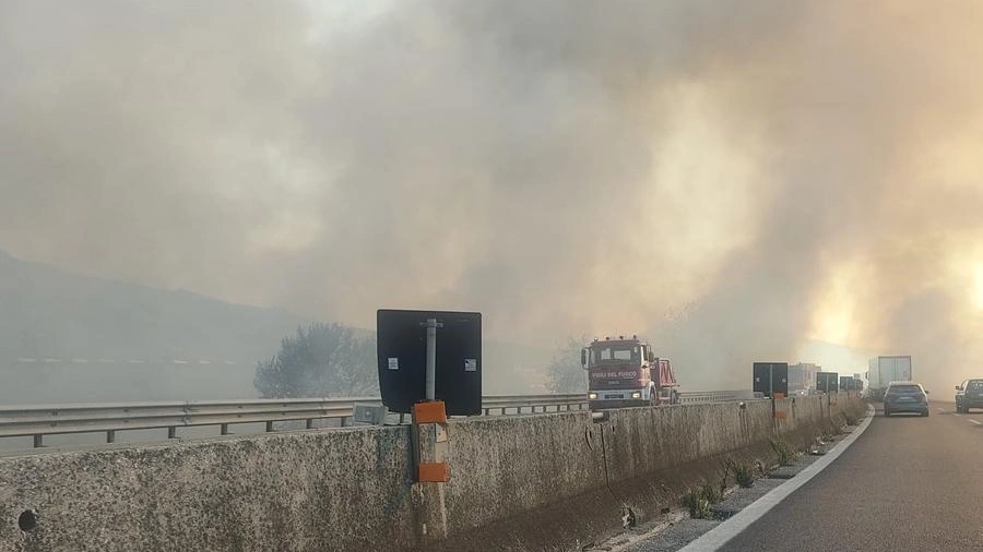 Incendio sull'Ascoli Mare, fiamme e paura