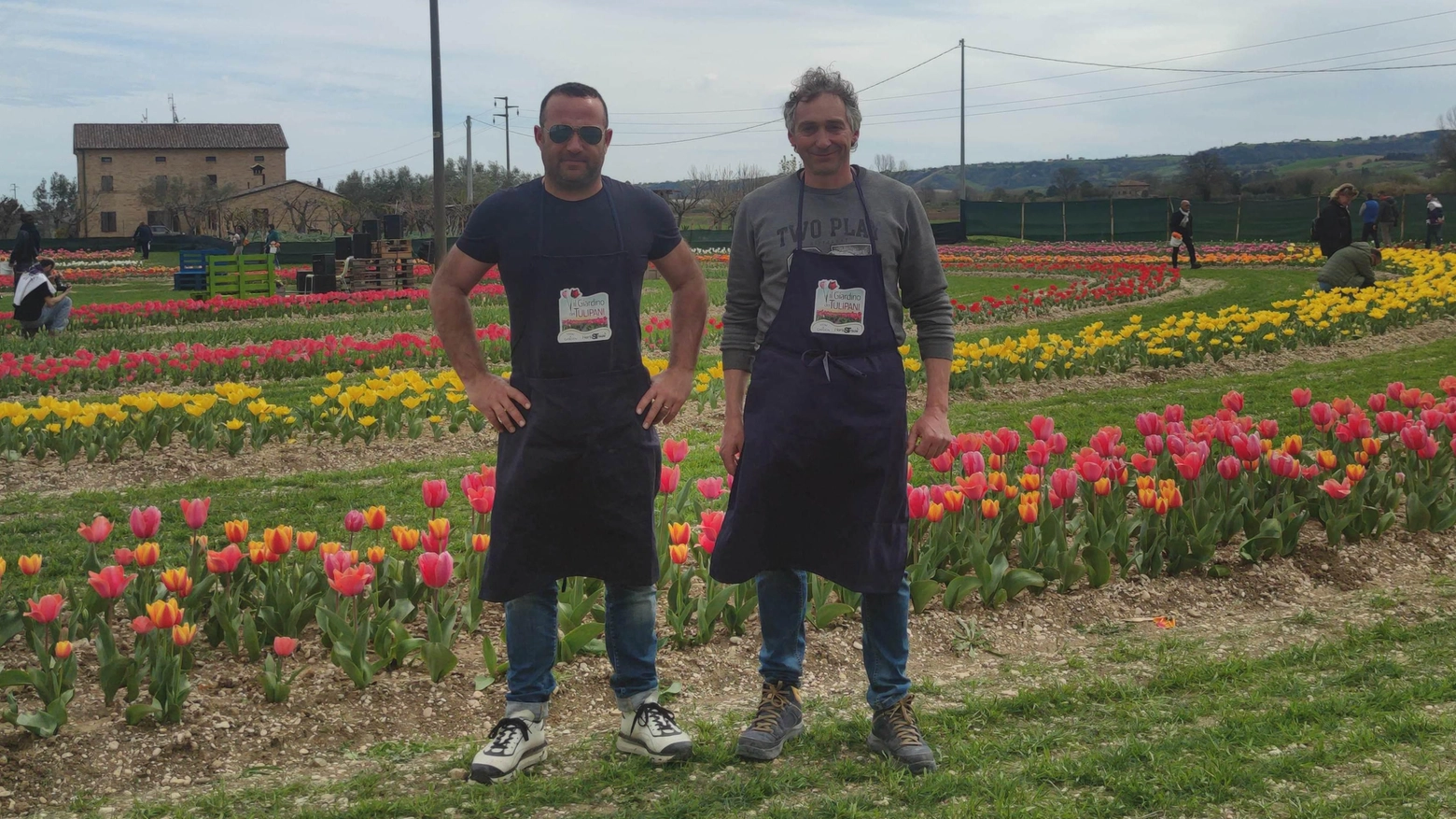 "Centomila tulipani per un senso di pace"