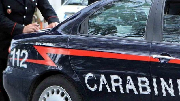 I carabinieri del Ris hanno denunciato due 20enni  di Casalgrande e il loro complice di 16 anni