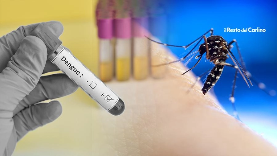 West Nile e Dengue, il virus viaggia con le zanzare