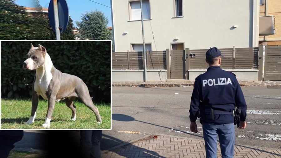 Donna sbranata dai cani a Sassuolo: indagine per omicidio colposo