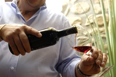 Slow Wine Fair Bologna 2023: torna la fiera del vino