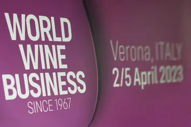 Vinitaly, storia millenaria del vino e numeri da record a VeronaFiere