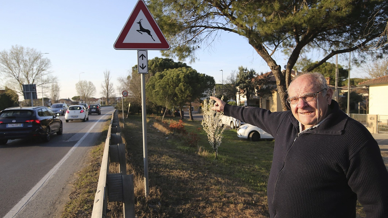 Mauro Chiappini mostra dove i daini hanno attraversato la statale (foto Zani)