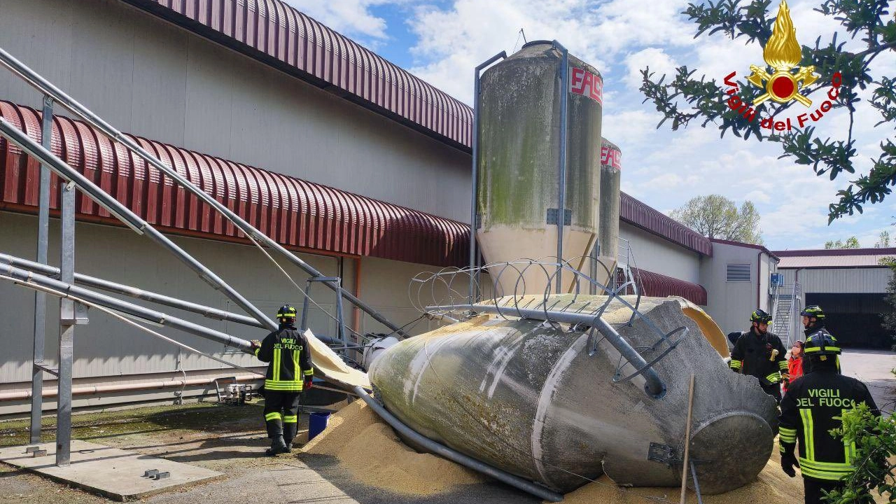 Il crollo del silos di mangimi nell'allevamento dove sono morte tre persone