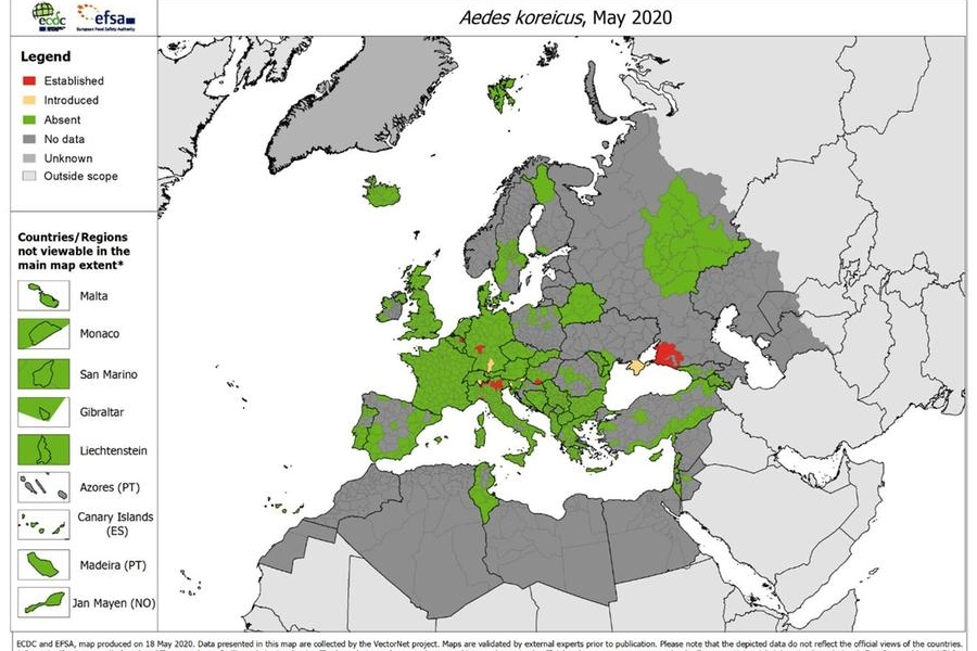 zanzara coreana, mappa del European Centre for Disease Prevention and Control