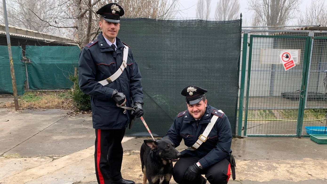 Carabinieri con uno dei cani liberati (Foto Dire)