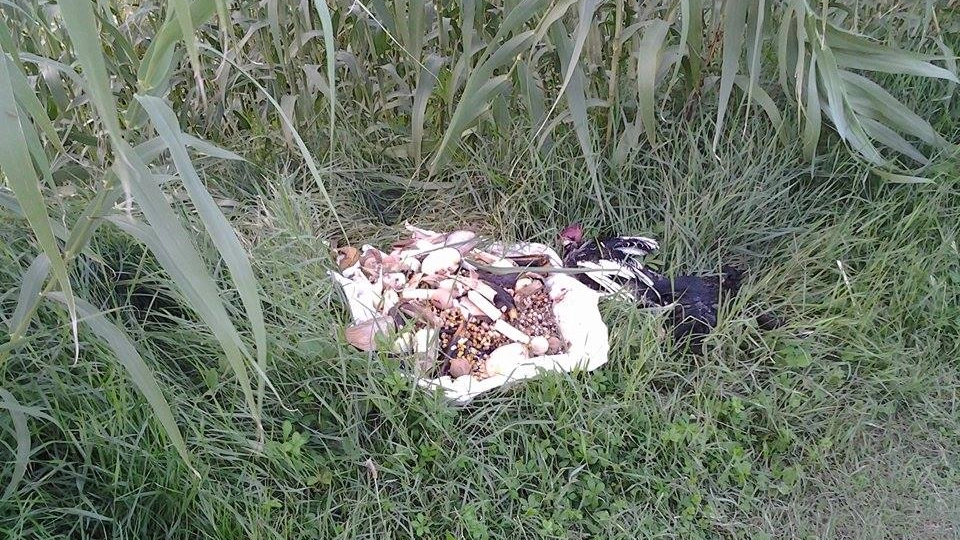 Candele e galletti ritrovati nella zona del Marano (foto Concolino)