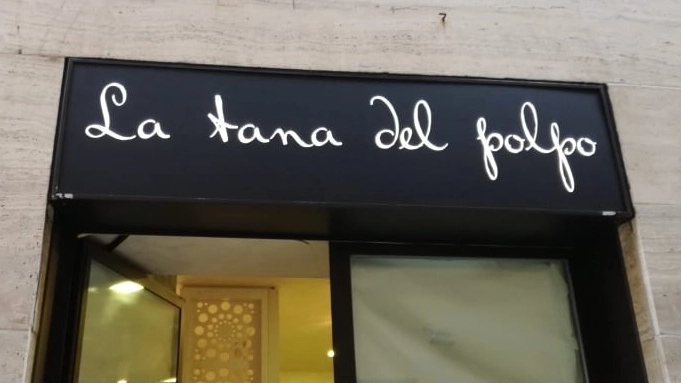Ancona, 'La Tana del Polpo'