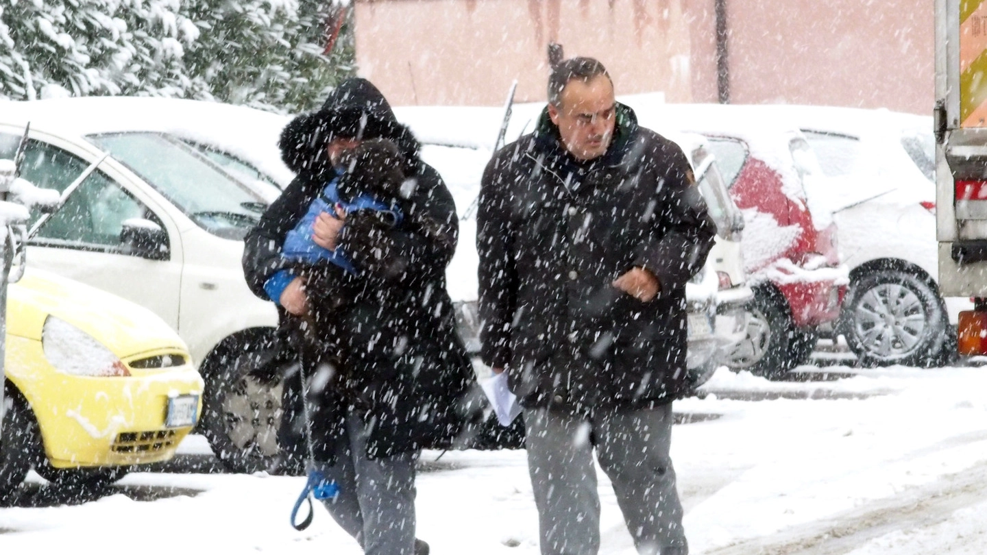 La neve del 22 gennaio a Rimini (foto PasqualeBove)