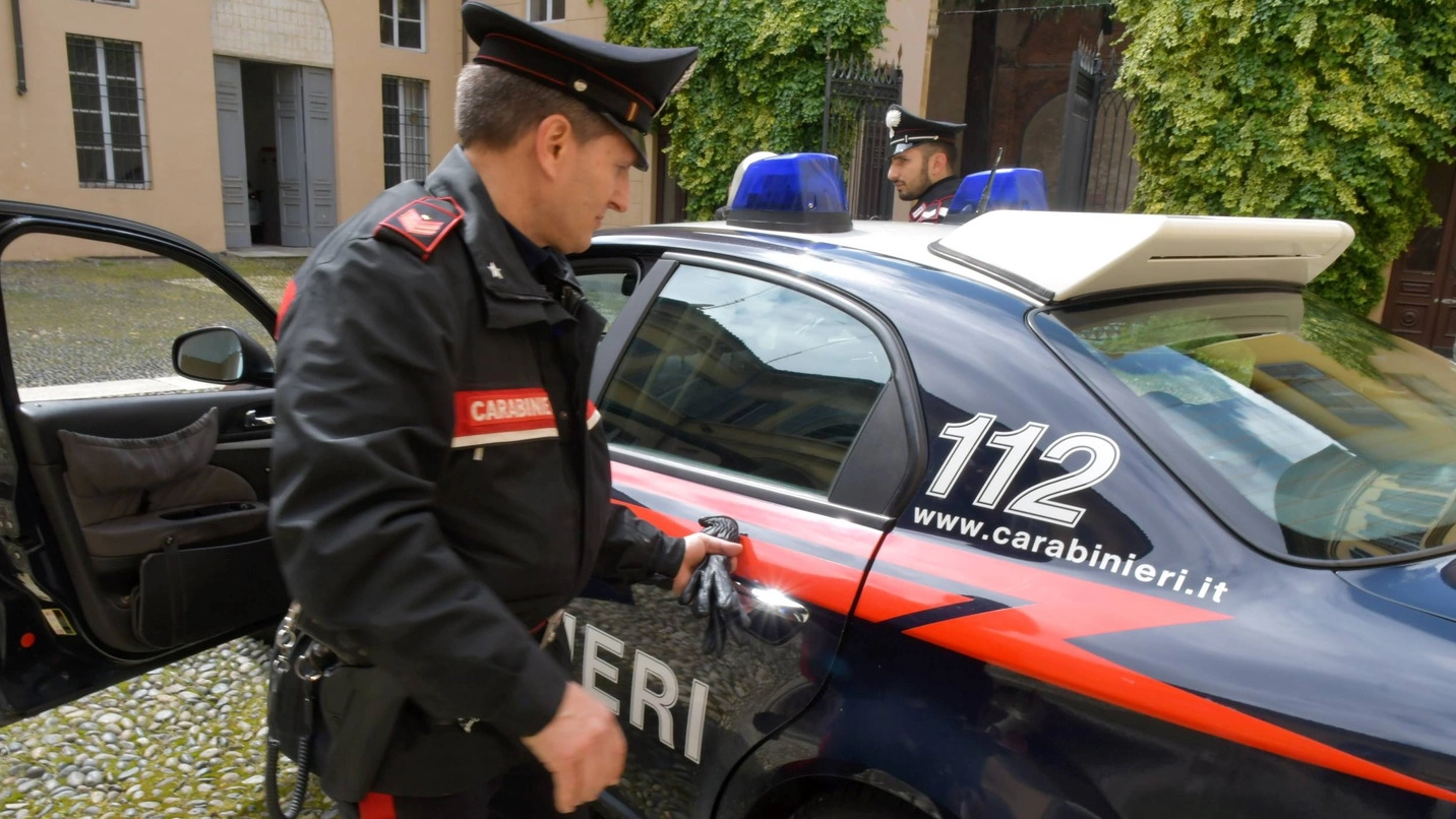Operazione dei carabinieri (foto di repertorio Torres)