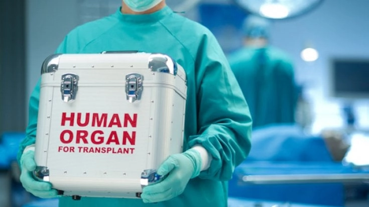 Trasporto di organi per trapianto
