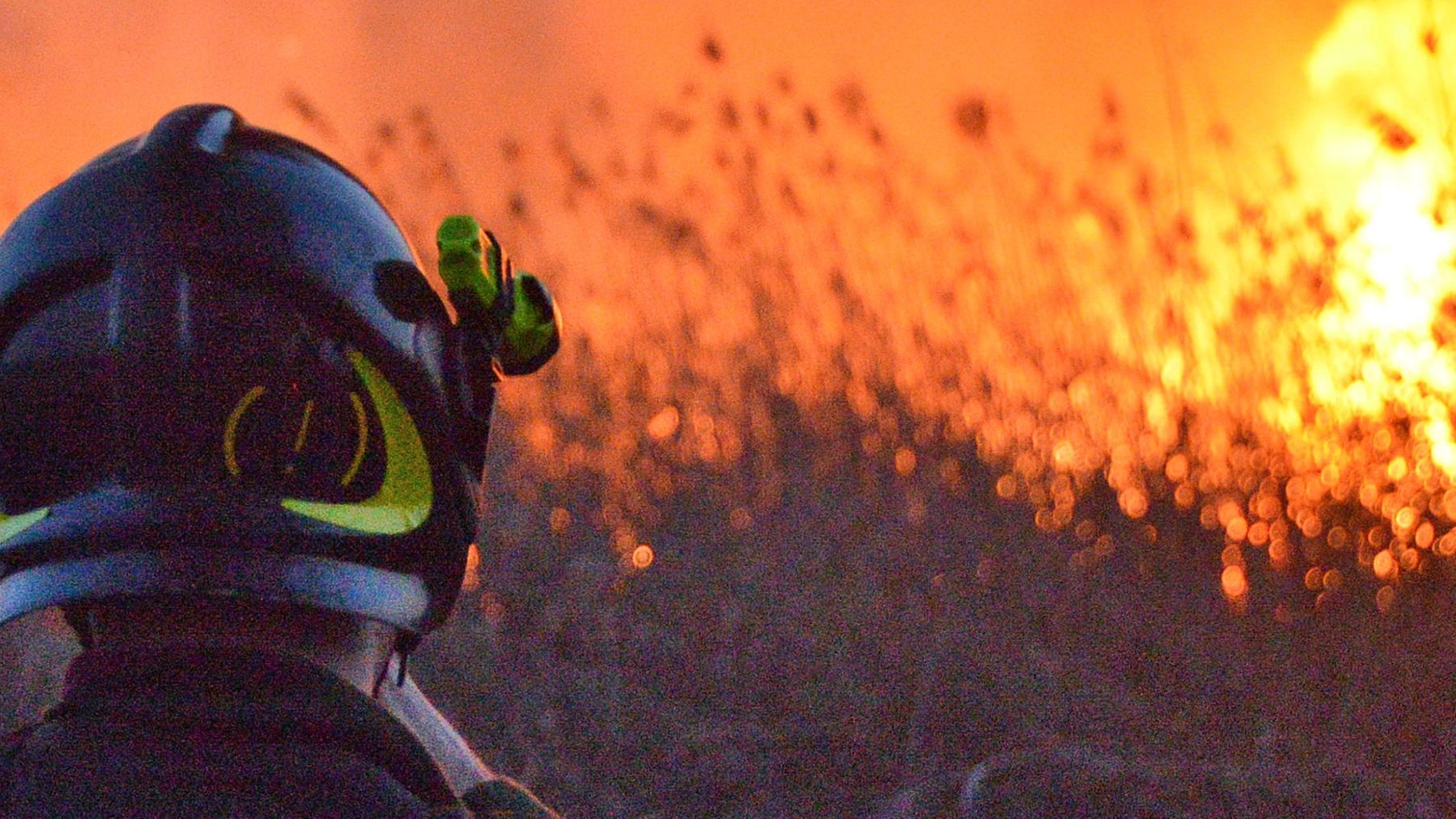 Lanciano petardi nel bosco del San Bartolo,   a fuoco la vegetazione